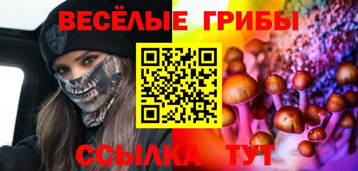 Псилоцибиновые грибы мухоморы  Вход с VPN  Трёхгорный 